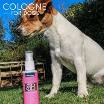 Dog Cologne BB 100ml