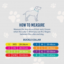 Heritage Leather Collar Oxblood Size 2 26-31cm