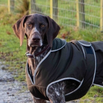 Heritage Leather Collar Oxblood Size 5 39-48cm