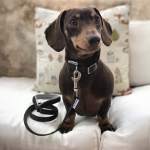 Viva Padded Lead Black 1mx25mm