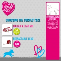 Small Bite Stars Collar Lead Set Blue