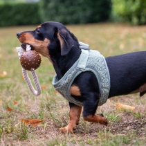 Small Bite Teddy Bear Harness Sage XXS25-30cm