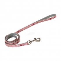 Small Bite Stars Collar Lead Set Rose