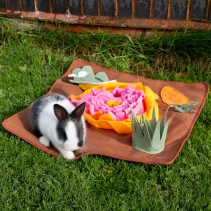 Veg Patch Snuffle Mat