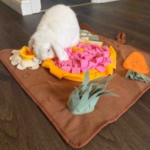 Veg Patch Snuffle Mat