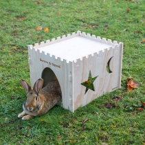 Small Pet Castle (Flat Pack)