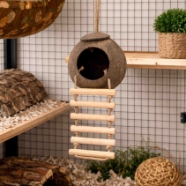 Hanging Coconut Hide