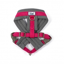 Viva Padded Harness Pink S 36-42cm