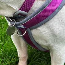 Viva Padded Harness Purple L 52-71cm