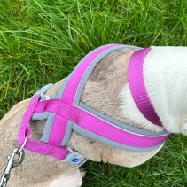 Viva Padded Harness Purple L 52-71cm