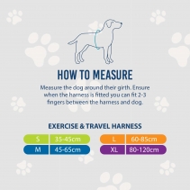 Viva Exercise & Travel Harness Purple S 35-45cm