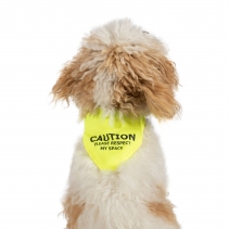 Warning Bandana Yellow S/M 21cm x 14cm