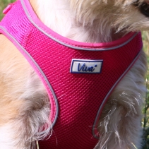 Viva Step-in Harness Pink M 46-54cm