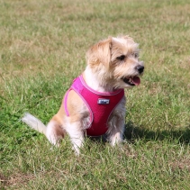 Viva Step-in Harness L Pink 54-60cm