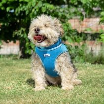 Viva Step-in Harness L Blue 54-60cm