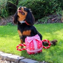 Its My Birthday Present Large Pink