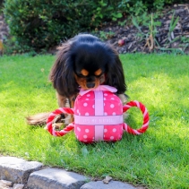 Its My Birthday Present Large Pink