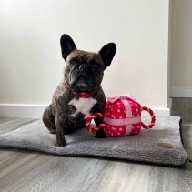 Its My Birthday Present Large Pink