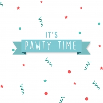 Pawty Tennis Balls (3pcs)