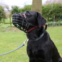 Basket Muzzle Size 4: 20x7.5cm