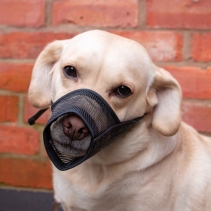 Mesh Muzzle Size 0: 11x8.5cm