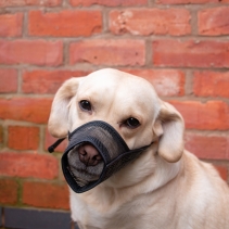 Mesh Muzzle Size 3 20x15cm