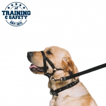 Nylon Training Halter M Sz 3-4