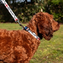 England Football Collar S 20-30cm