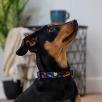 Soho Cosmic Collar S 20-30cm