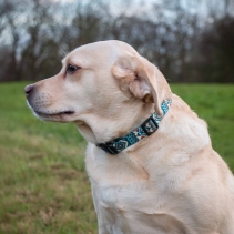 Soho Aztec Collar S 20-30cm