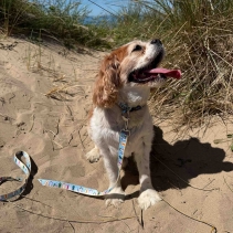 Soho Beach Hut Lead 100cm | 50kg