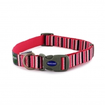 Hot Pink Candy Stripe Made From Collar L