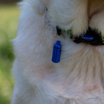 Aluminium Dog ID Tube