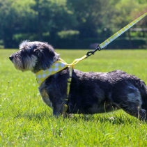 Soho Yellow Check Lead 100cm | 50kg