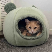 Teddy Bear Ear Cave Bed (Sage)