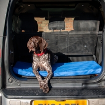Ancol Wasserdichtes Hundebett – 61 X 46 Cm, Blau/grau, Für Kleine Bis Mittlere Hunde, Outdoor-tauglich