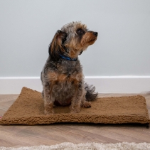 Teddy Fleece Flat Pad 76x53cm Beige