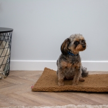 Teddy Fleece Flat Pad 107x69cm Beige