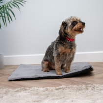Sleepy Paws Flat Pad 122x76cm Grey