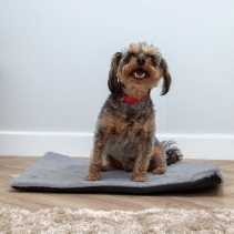 Sleepy Paws Flat Pad 122x76cm Grey