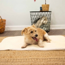Self Heating Pet Pad L 90x64cm