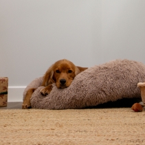 Super Plush Donut Bed 50cm Oatmeal