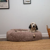 Super Plush Donut Bed 50cm Oatmeal