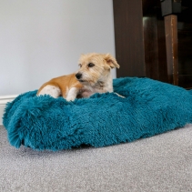 Super Plush Mattress 75x60cm Teal