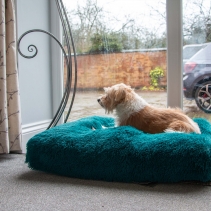 Super Plush Mattress 75x60cm Teal