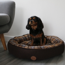 Brown And Blue Tartan Donut Bed 70cm
