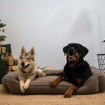 Brown Check Bed XL 84 x 105cm