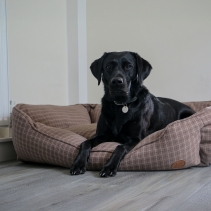 Brown Check Bed XL 84 x 105cm