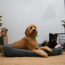 Blue Check Bed XL 84 x 105cm