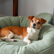 Small Bite Teddy Bear Donut Beds Sage 70cm